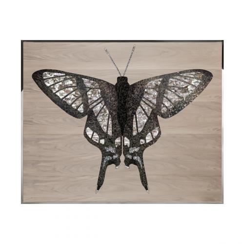 Danaus Произведение искусства из ископаемого дерева Visionnaire 