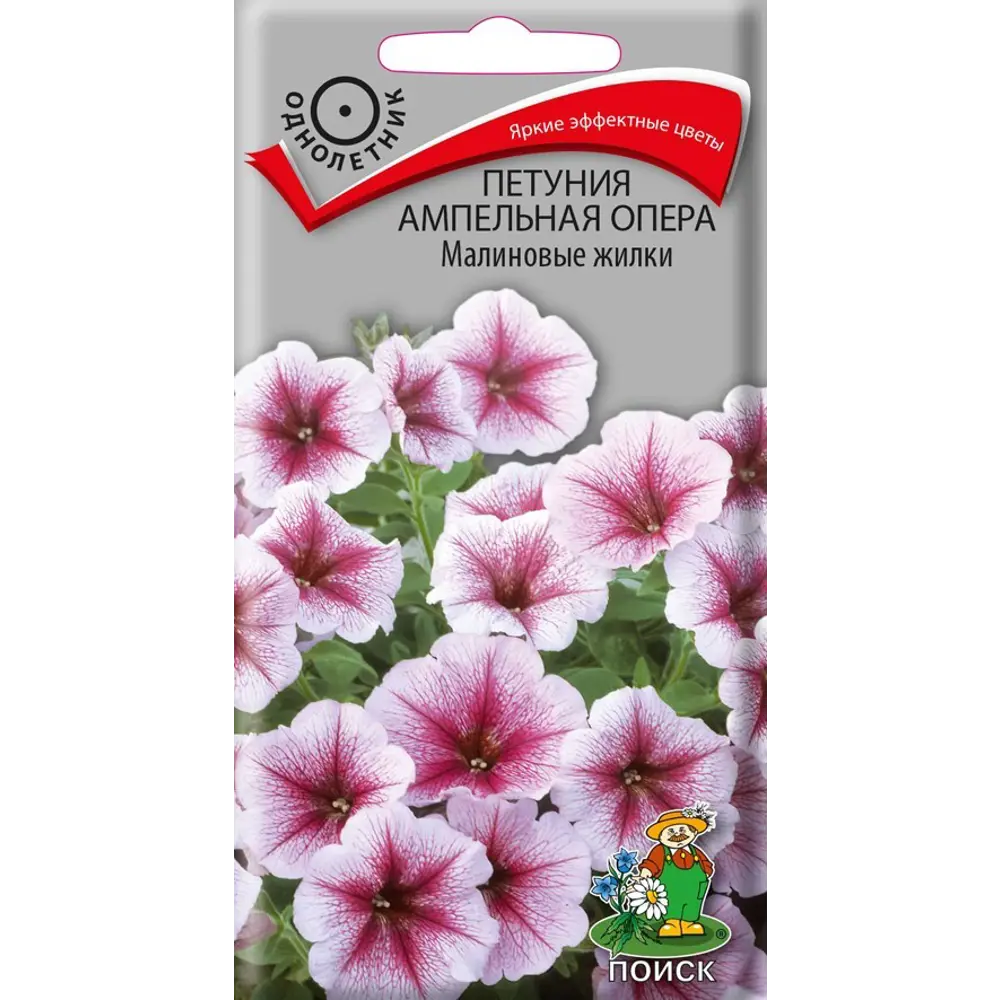 ПОИСК Петуния Ампельная Опера с малиновыми прожилками 83227405 STLM-1536366