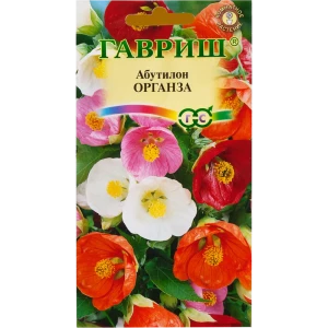 Абутилон «Органза» смесь окрасок DH, 10 шт. 82097810 STLM-2110130
