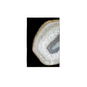 91336273 Картина в раме Alumoart "Ammonite" 013.008A, 116x76 см, крепление через профиль STLM-0834081