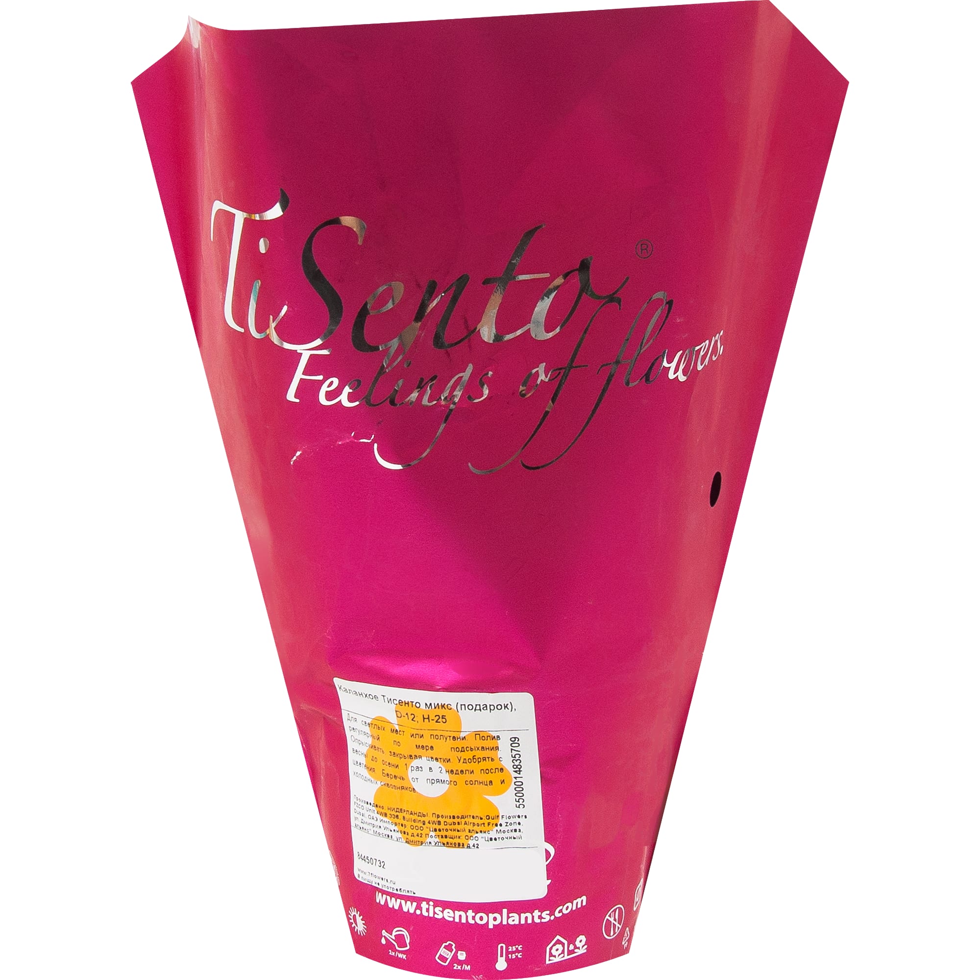 84450732 Каланхое Тисенто микс в подарочной упаковке ø12 h25 см Santreyd  - Вид №3