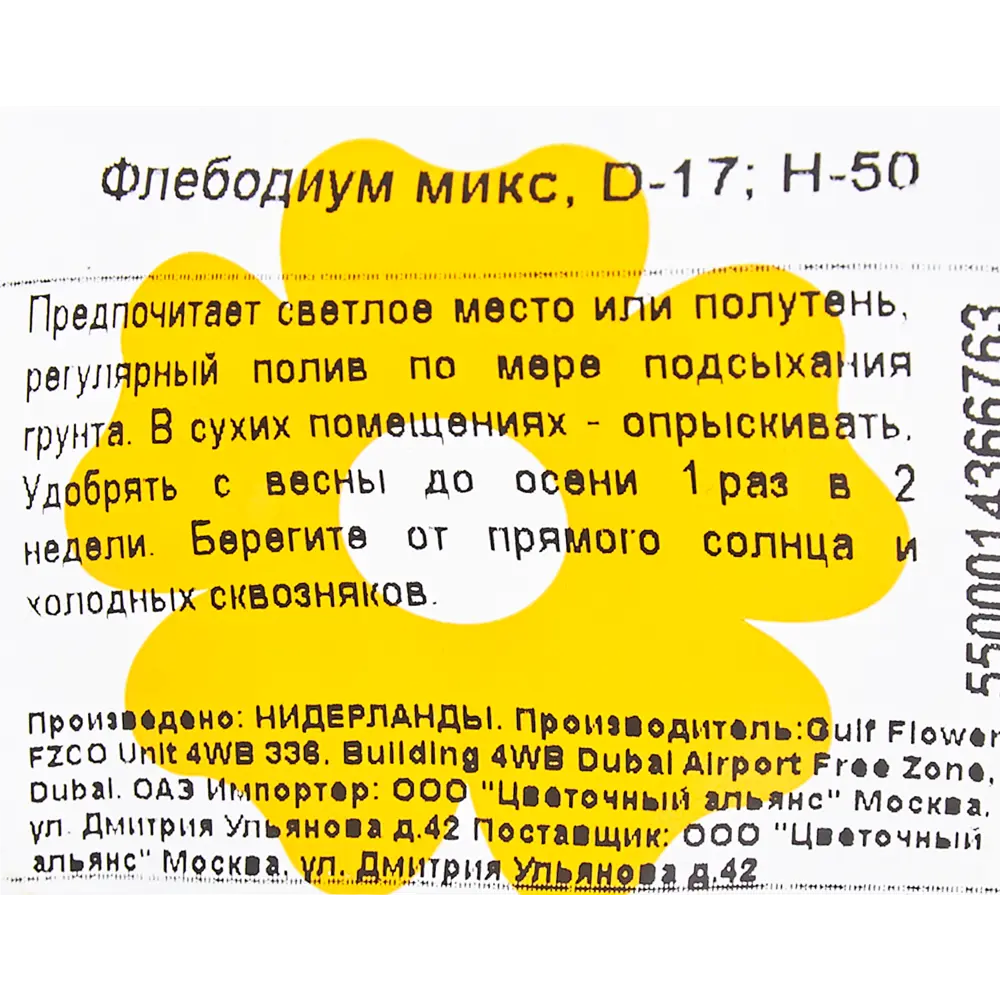 Флебодиум микс 17x50 см 83060669 STLM-2022748 Santreyd  - Вид №2