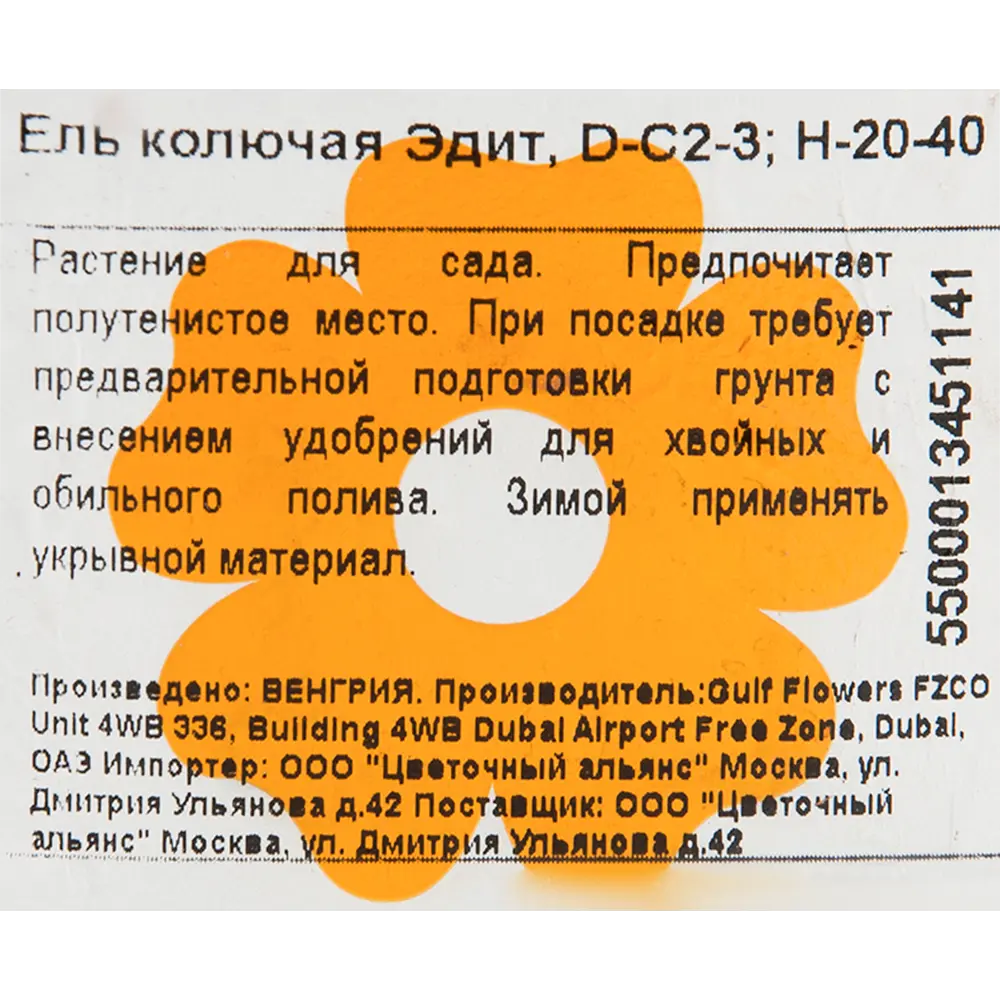 Ель колючая «Эдит» 17x20 см 82601632 STLM-2040760 Santreyd  - Вид №1