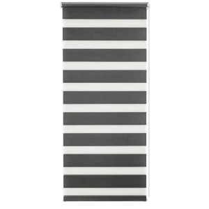 Штора рулонная день-ночь Silver 40x160 см графит 82614430 STLM-2097759