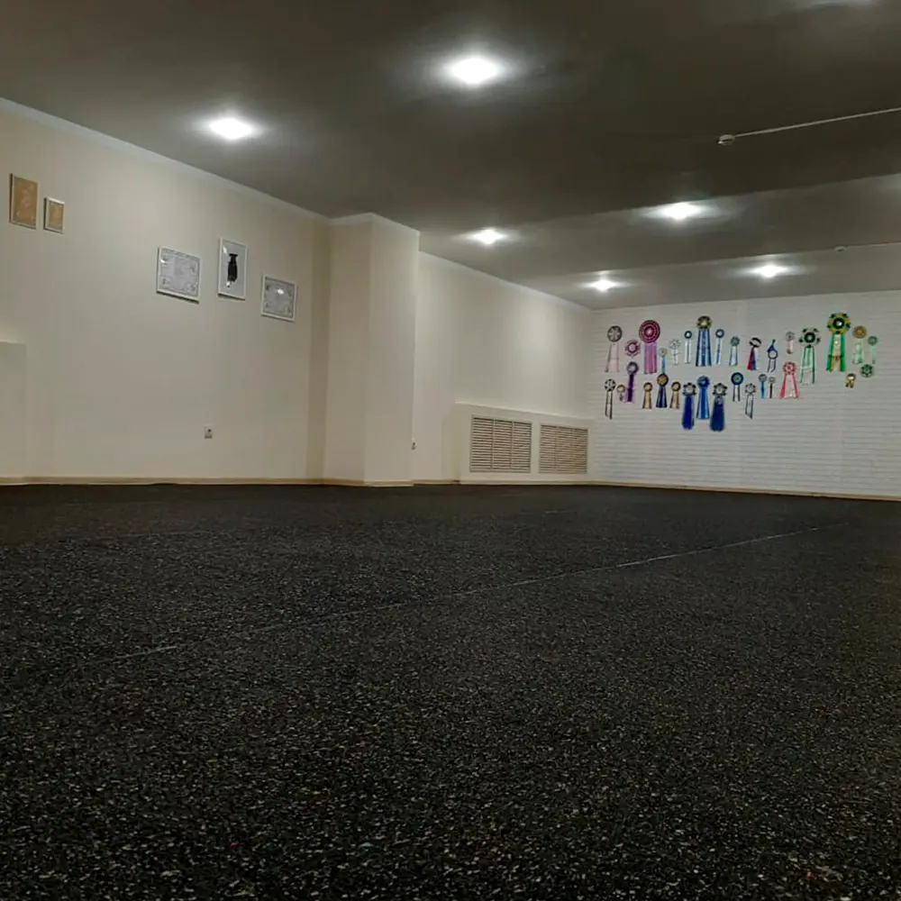 Покрытие резиновое Alegria color 10х1.2 м 4 мм 84804129 STLM-2155020 Santreyd  - Вид №8