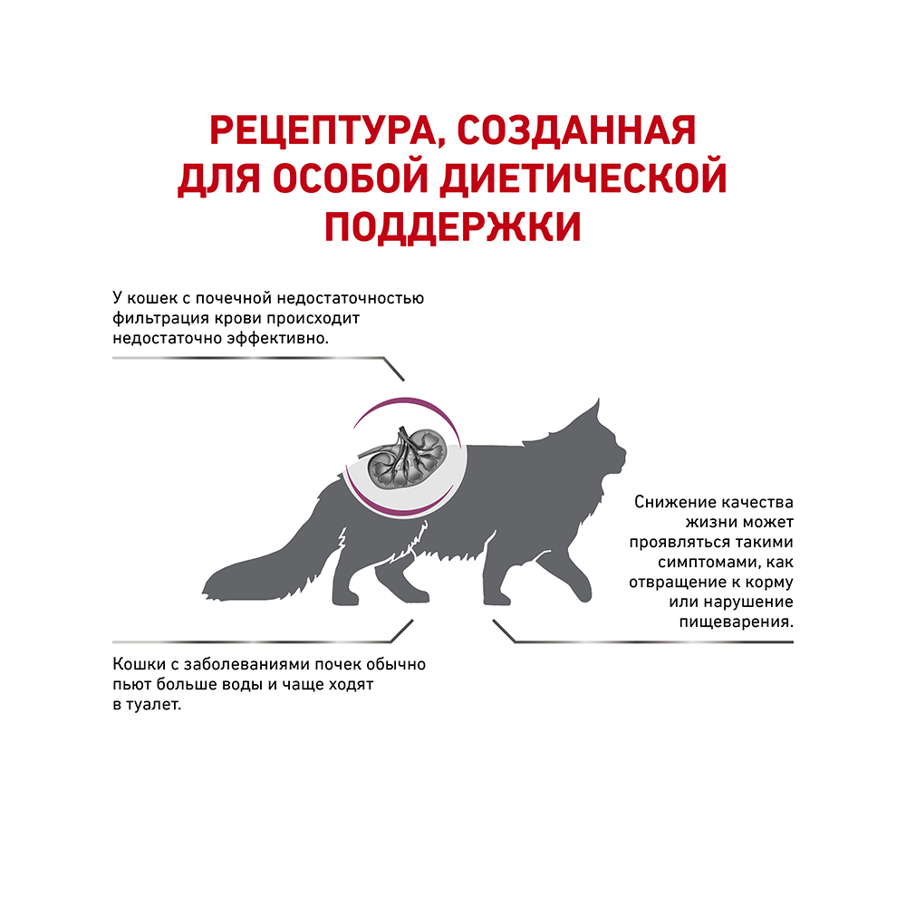 ПР0056391 Корм для кошек Vet Diet Renal Select при хронической почечной недостаточности сух. 400г ROYAL CANIN  - Вид №2