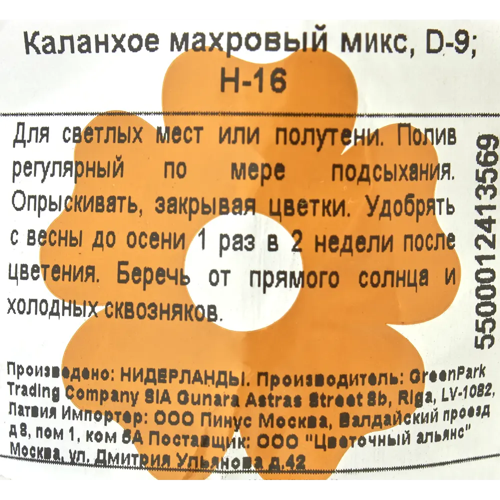 Каланхое Махровый микс 9x16 см 82399673 STLM-2148014 Santreyd  - Вид №2