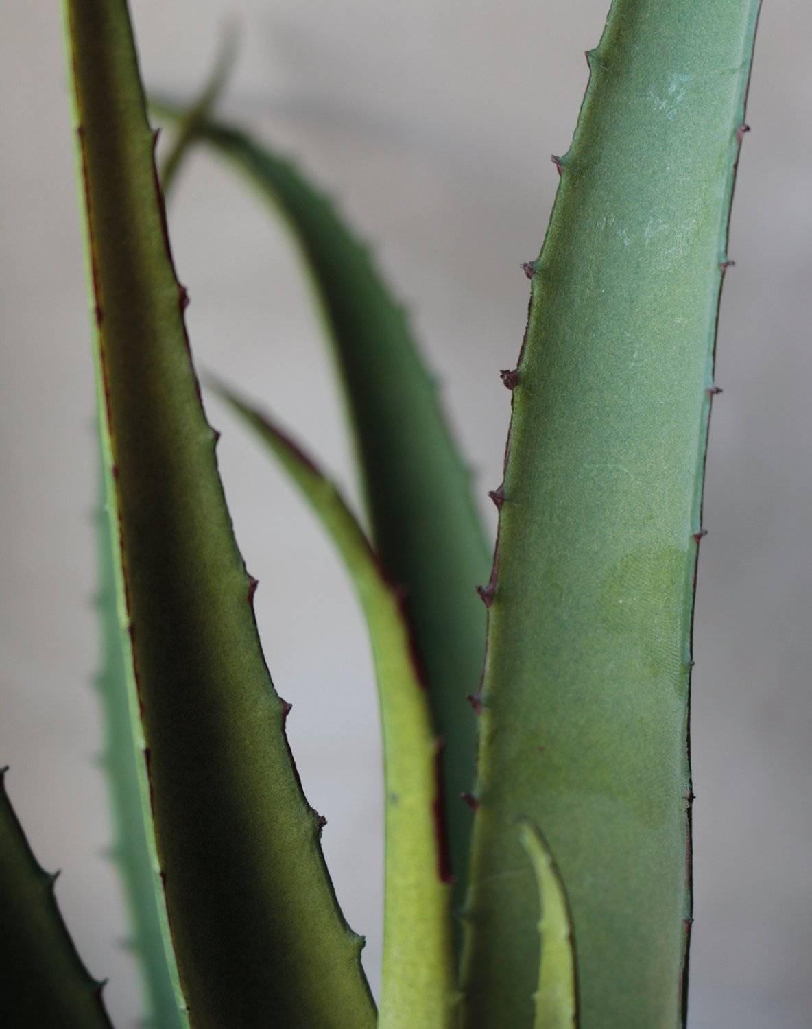 6151 883 a3 Искусственное алоэ, горшечное, 43 см, зеленое H-andreas  - Вид №1