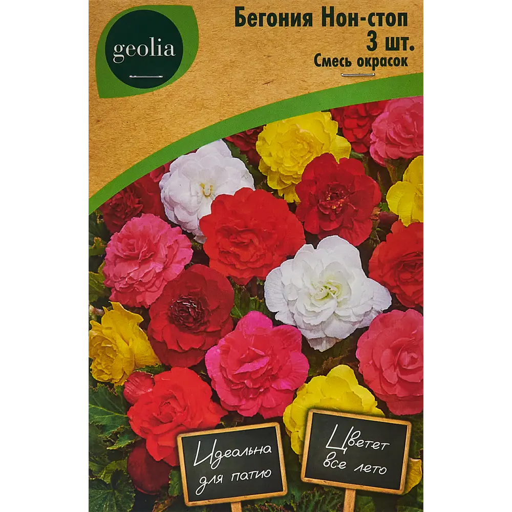 Бегония Нон-стоп смесь окрасок Geolia 3 шт 86408538 STLM-2062689 