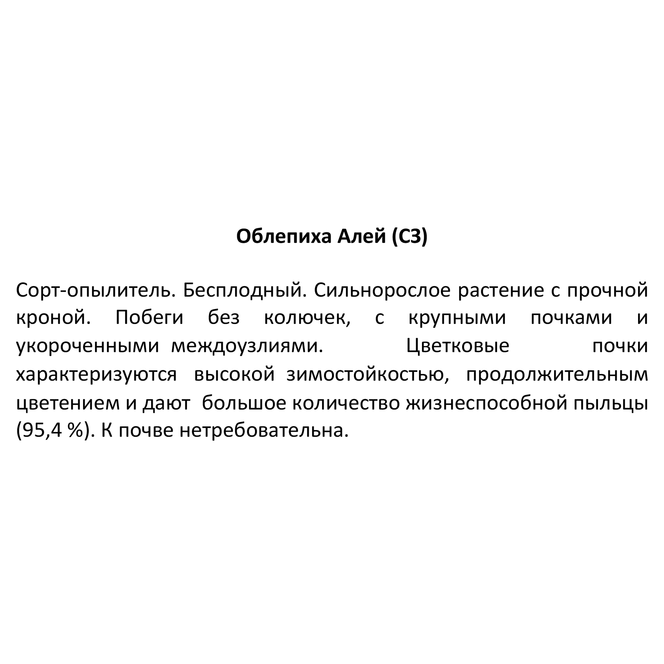 Саженец облепихи Микс Santreyd 85325548 STLM-0061626 - Вид №2