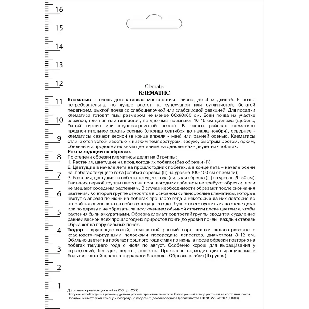Клематис крупноцветковый Тюдор в капере 82527583 STLM-2179660 Santreyd  - Вид №1