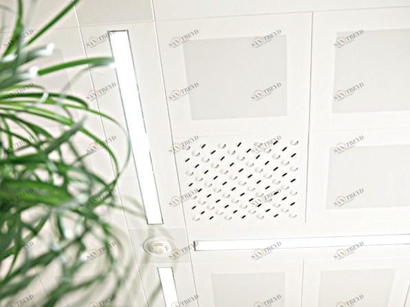 atena Стальные потолочные панели sun-id-1390748