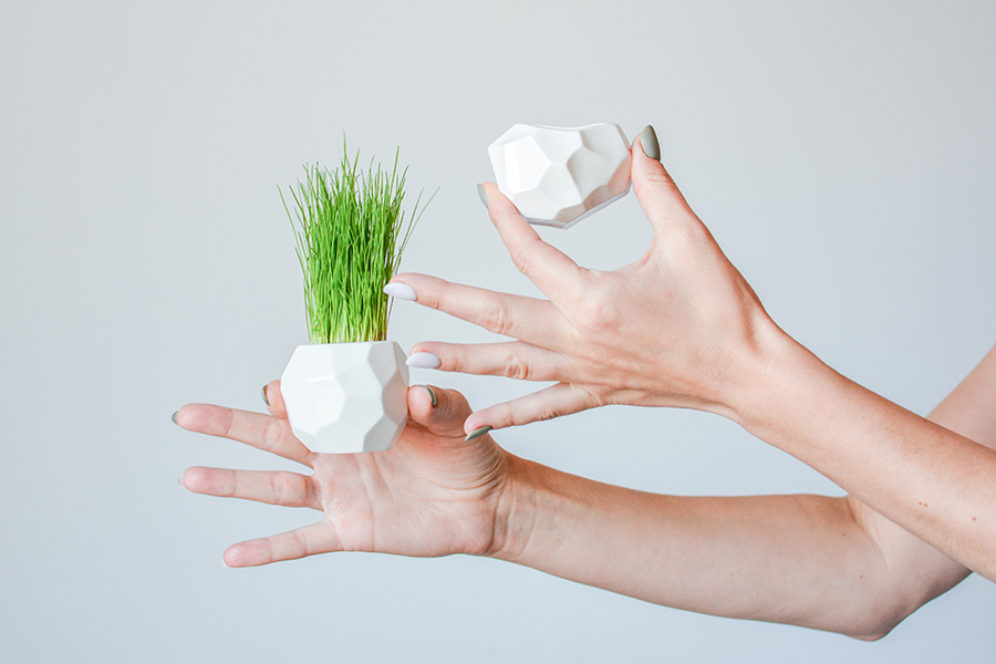 Набор для выращивания Eco кашпо магнит "Метеорит" ЭКОЧЕЛОВЕКИ STM203 - Вид №1