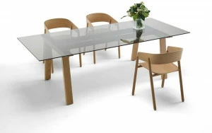 Punt Прямоугольный стол из дерева и стекла