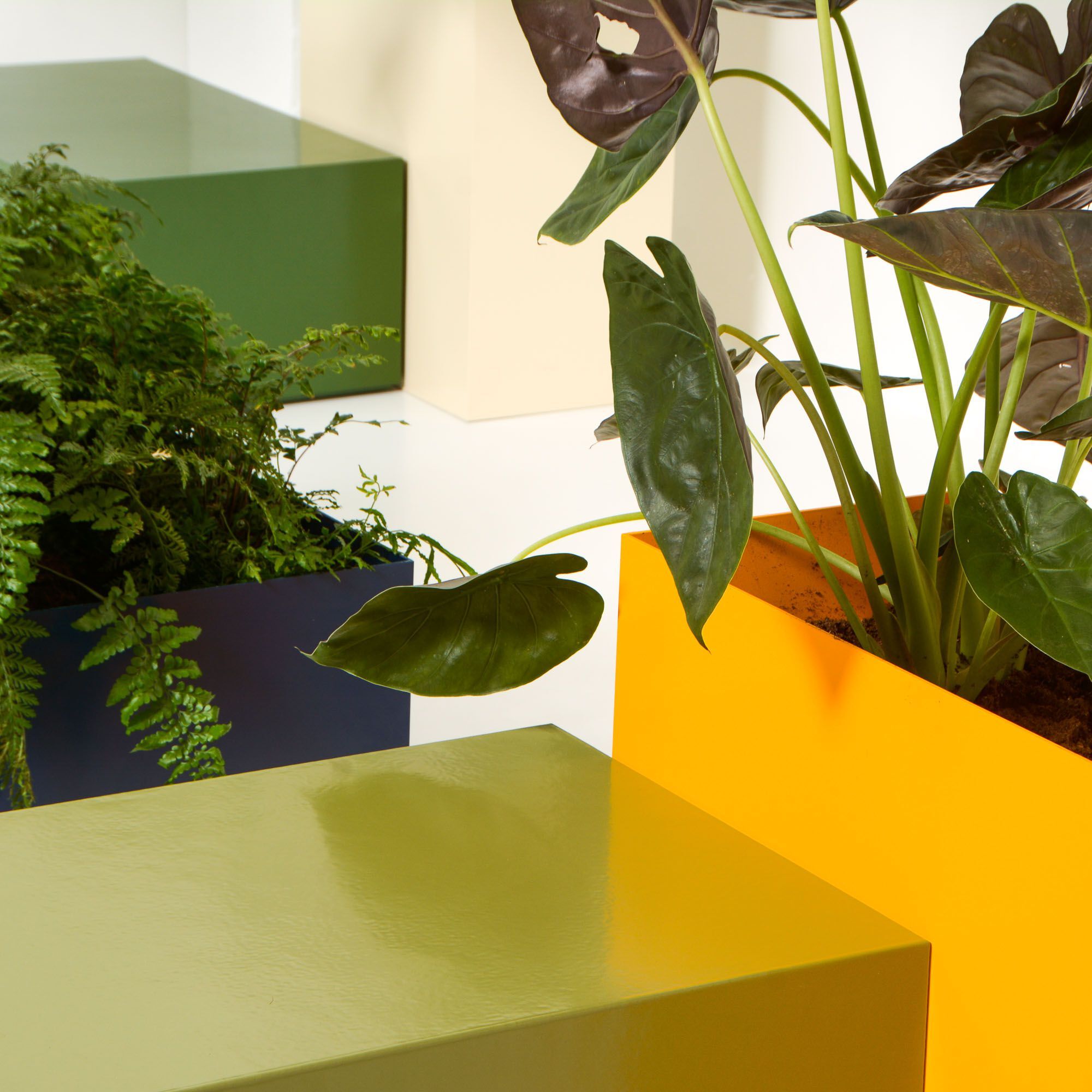 Прямоугольная алюминиевая плантатор с порошковым покрытием SIXINCH PLANTER ARCH-00109030 - Вид №7