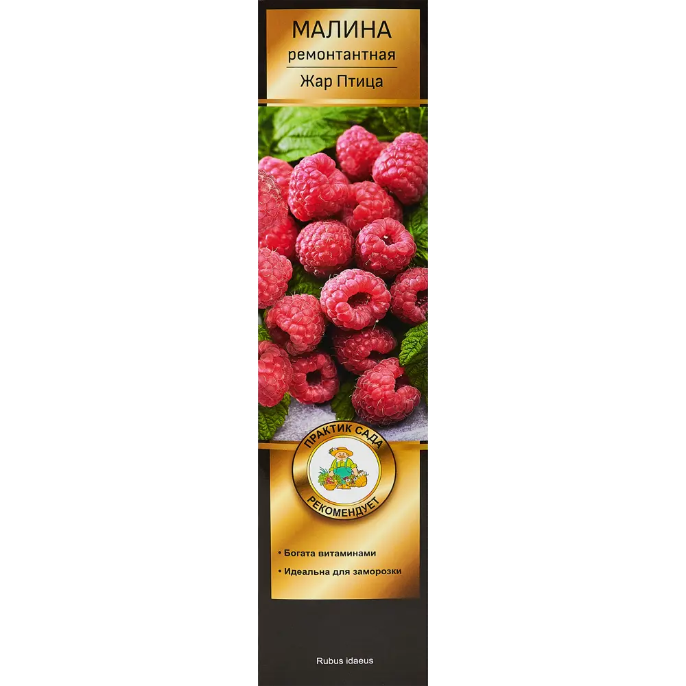 Малина Жар птица короб h35 см 89353445 STLM-2123424 Santreyd 
