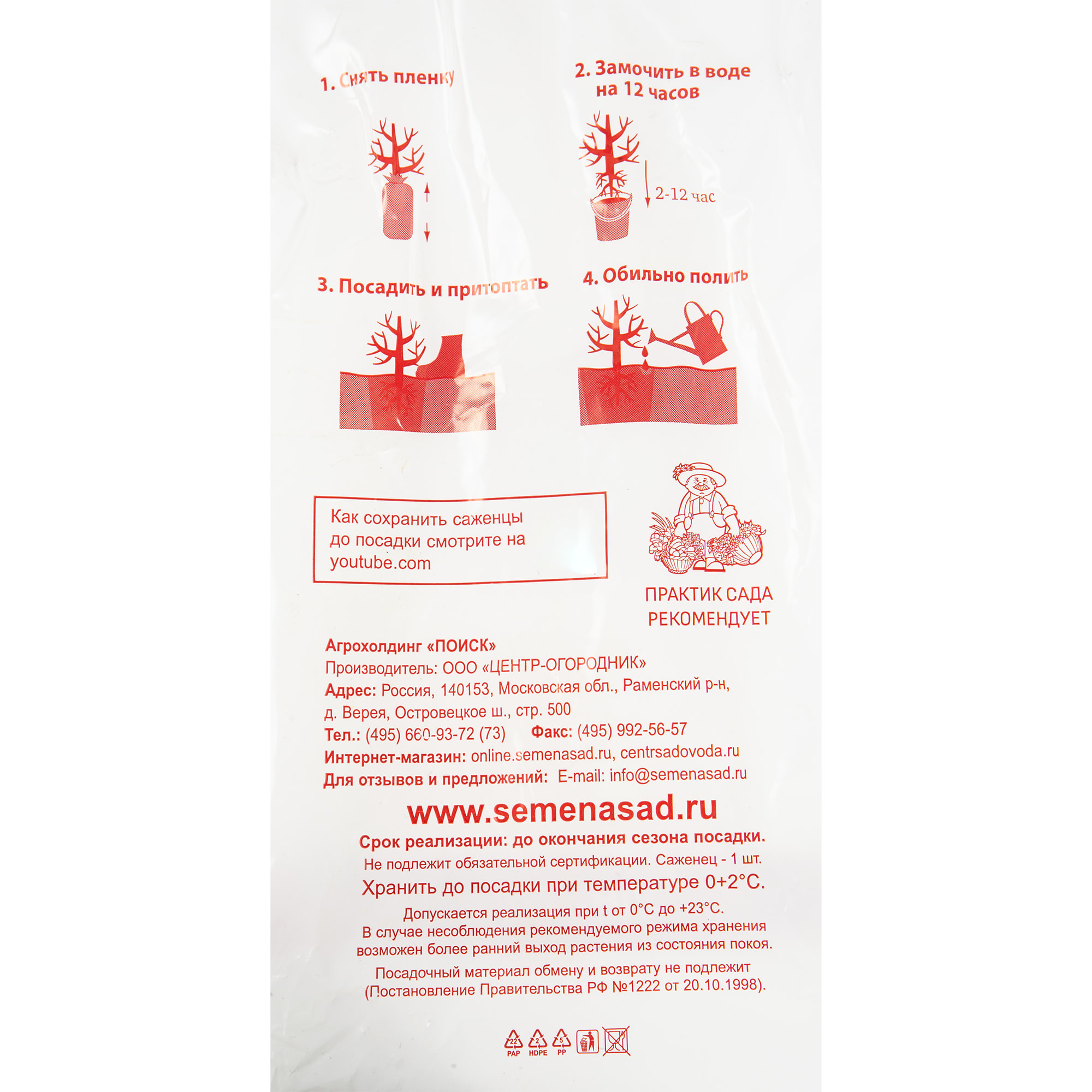 82150795 Жимолость «Волшебница» Santreyd  - Вид №2