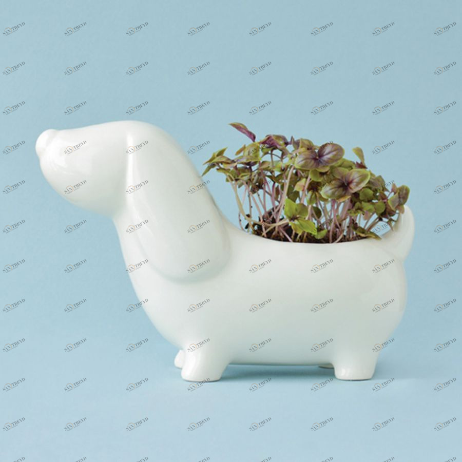 Набор для выращивания Eco Собачка ЭКОЧЕЛОВЕКИ ECS305