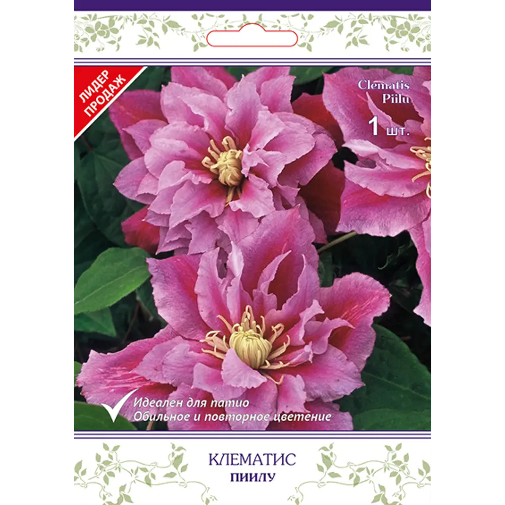 Клематис крупноцветковый Пиилу h15 см 83431378 STLM-2151976 Santreyd 