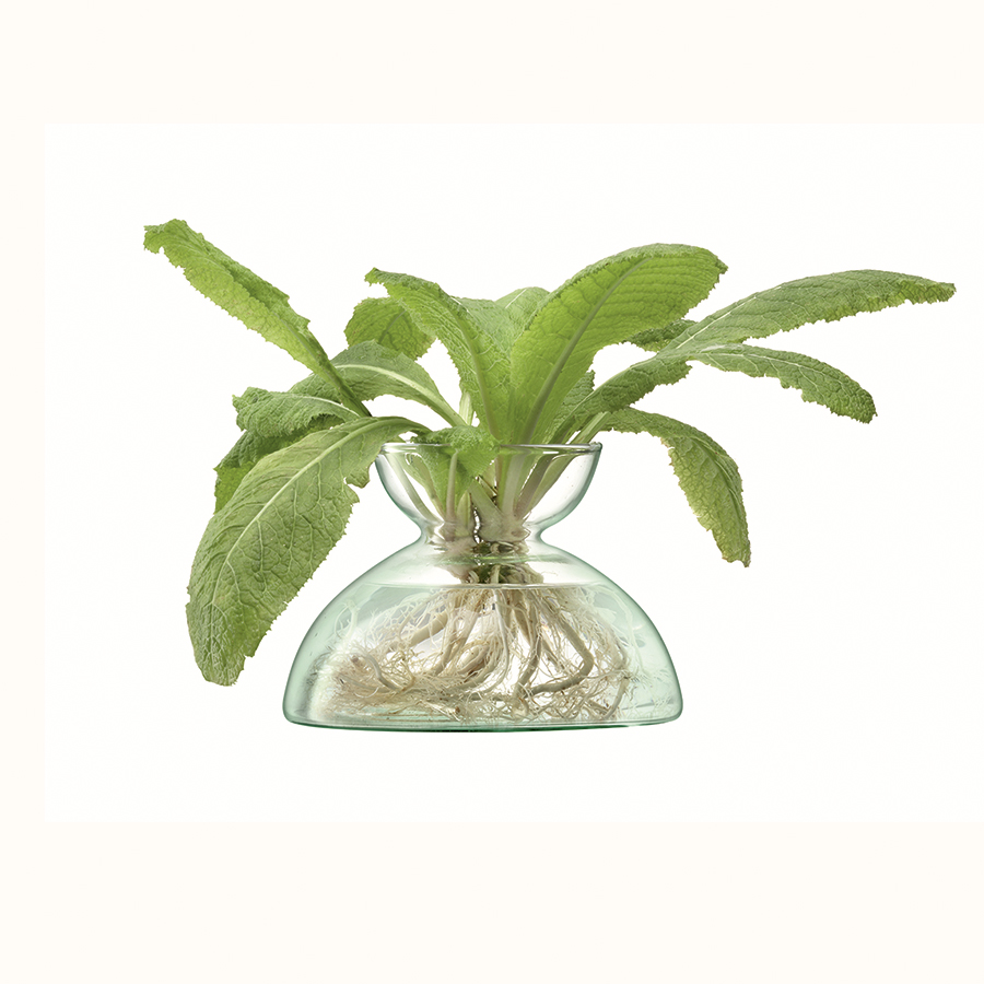 G1584-09-161 Ваза canopy, 9,5 см LSA International  - Вид №7