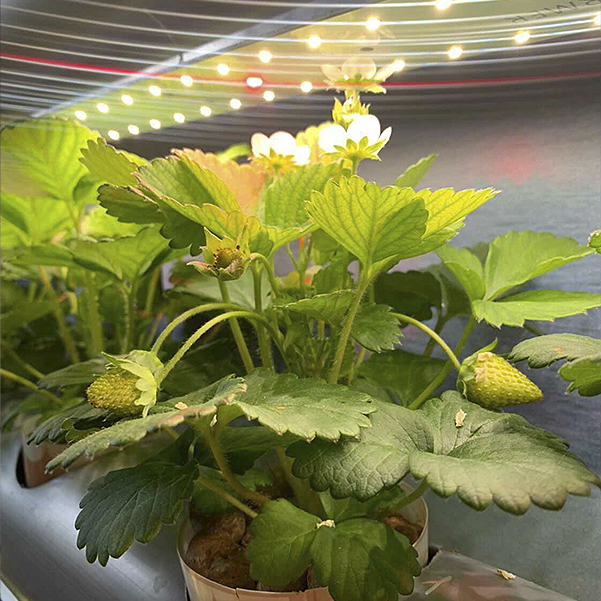 3537 Комплект Quantum line 60 см LAB.Space  - Вид №9