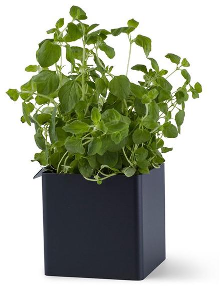 Gejst Контейнер Flex 00415 - Вид №1