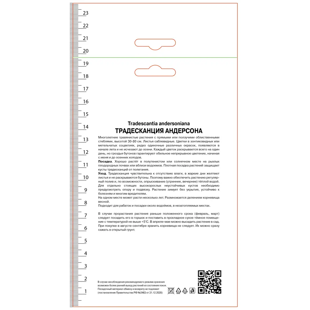 Традесканция Андерсона Билберри Айс 89452391 STLM-2093494 ПОИСК  - Вид №1