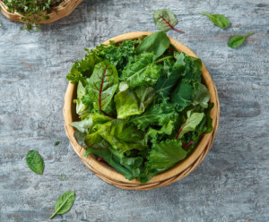 7398 Микс салатов Выращено Рядом (iFarm)