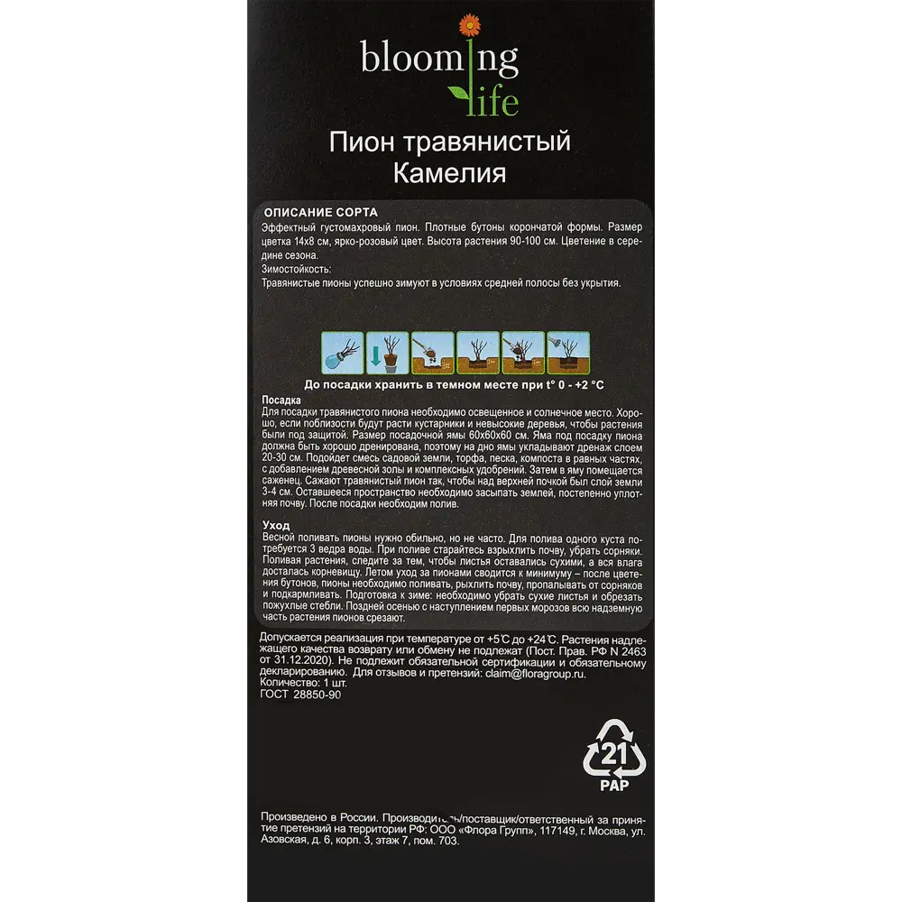 Пион травянистый микс ø9.2 h20 см 89352989 STLM-2163892 Santreyd  - Вид №3