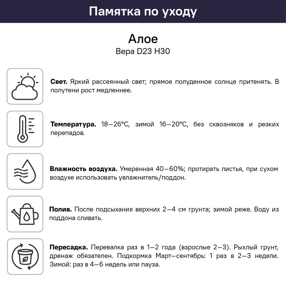 Алоэ Вера ø23 h30 см 89447725 STLM-2102752 Santreyd  - Вид №1