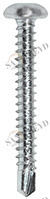 Винт RK 01 63 025 RK01 Tecfi 6,3 х 25 