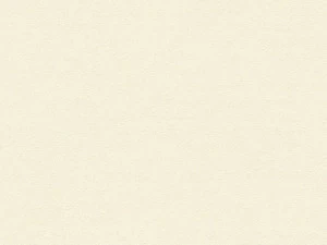 Architects Paper Однотонные обои Kind of white