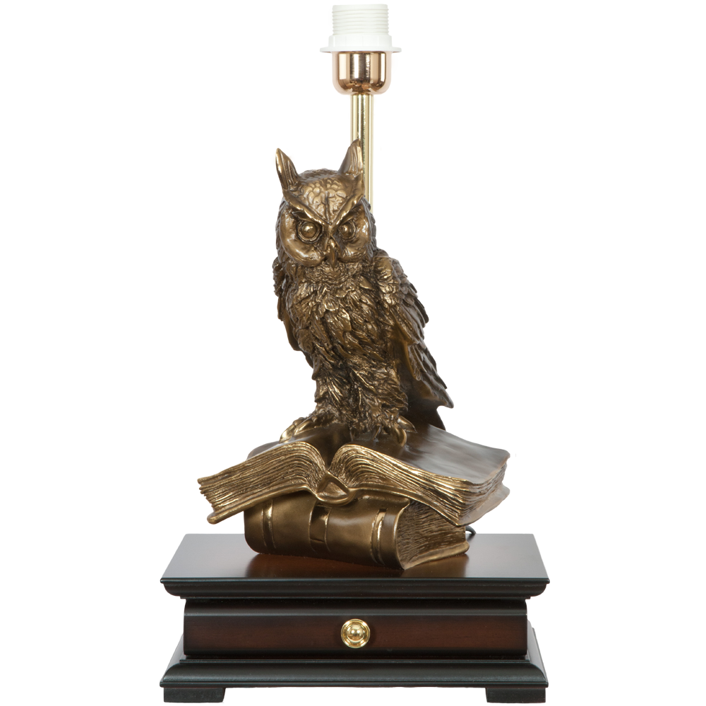 33006/1,34013 Настольная лампа с бюро Ученый Филин Карамель BOGACHO 4627138211540, 4627179657130 - Вид №2