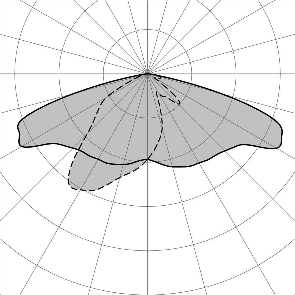 MaxiMaestro SP Ghidini Maestro SP .05 Темно-Cерый (Матовый)  - Вид №3