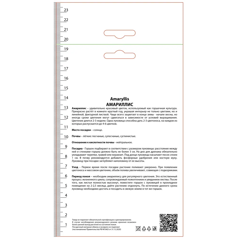 Амариллис простой Мэджикал Тач 89452261 STLM-2020271 ПОИСК  - Вид №1