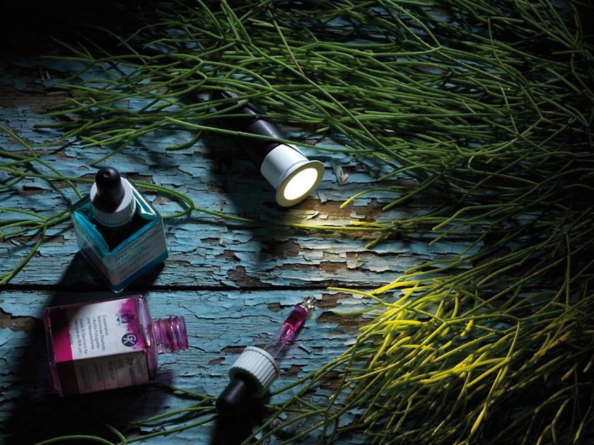 Flexalighting Светодиодный точечный светильник на потолок sun-id-1346853 - Вид №1