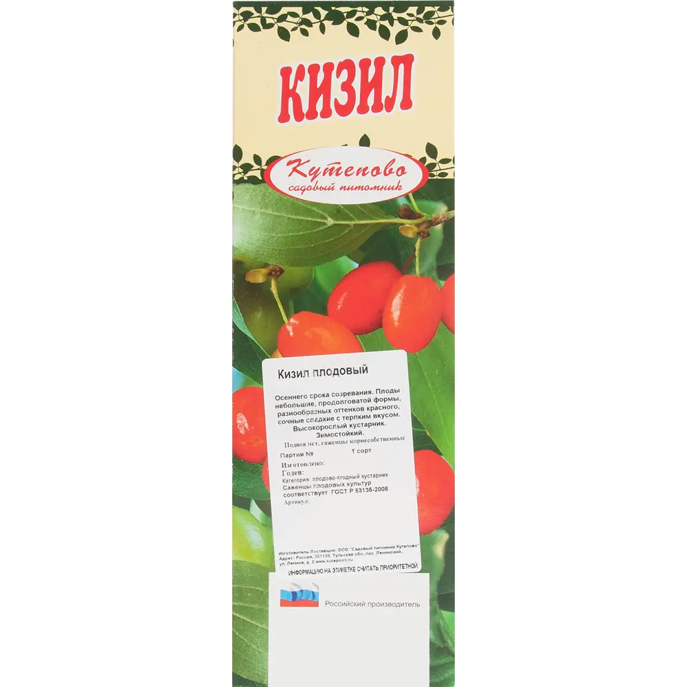 Кизил плодовый, в коробке 81955096 STLM-2106118 Santreyd  - Вид №1