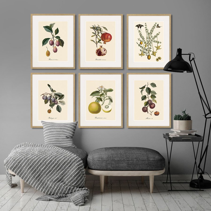 Картина в раме 52х42 см Juicy fruit lithography №9, 1870г. КАРТИНЫ В КВАРТИРУ  264442 Зеленый;фиолетовый;разноцветный  - Вид №2