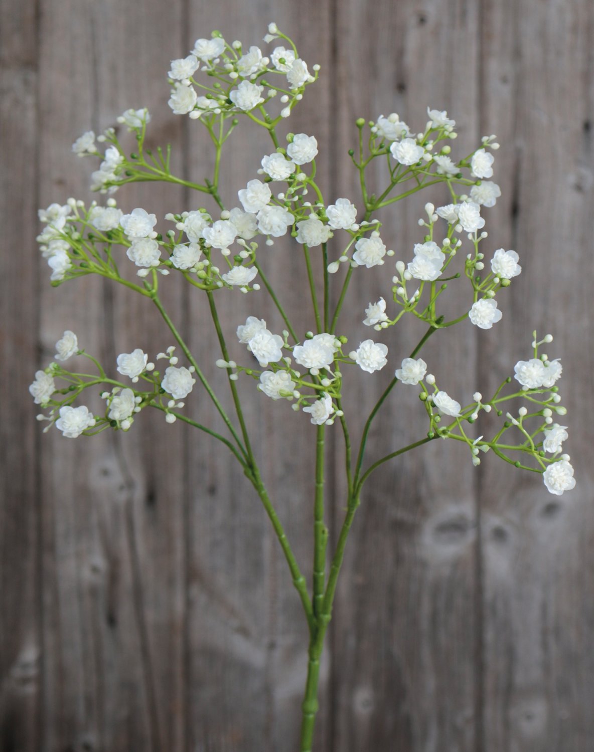 3088 778 a3 Искусственная гипсофила, 70 см, бежево-белая H-andreas 