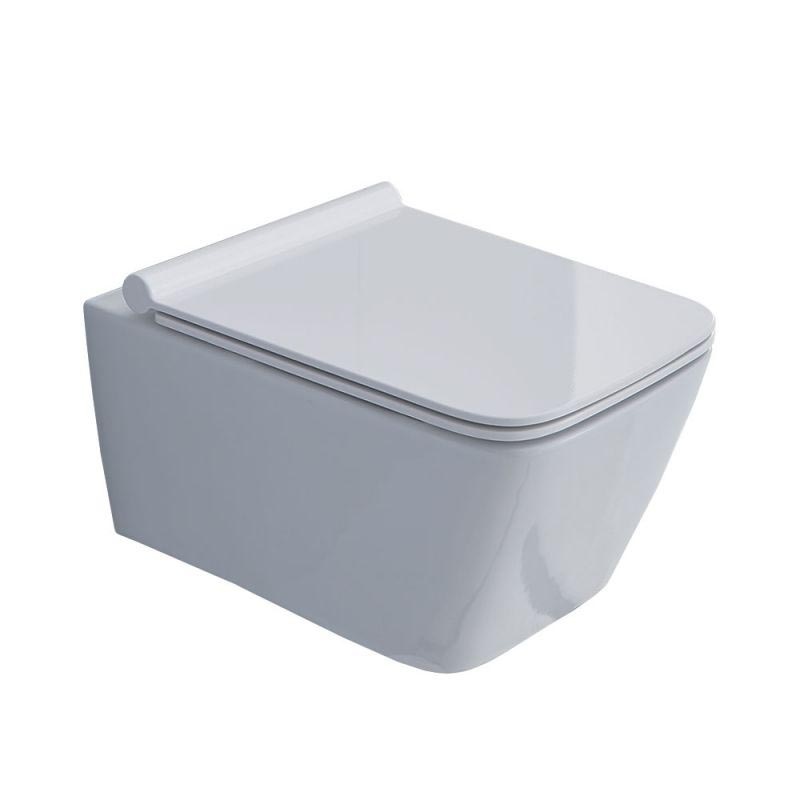 CТ2041 Унитаз SSWW 