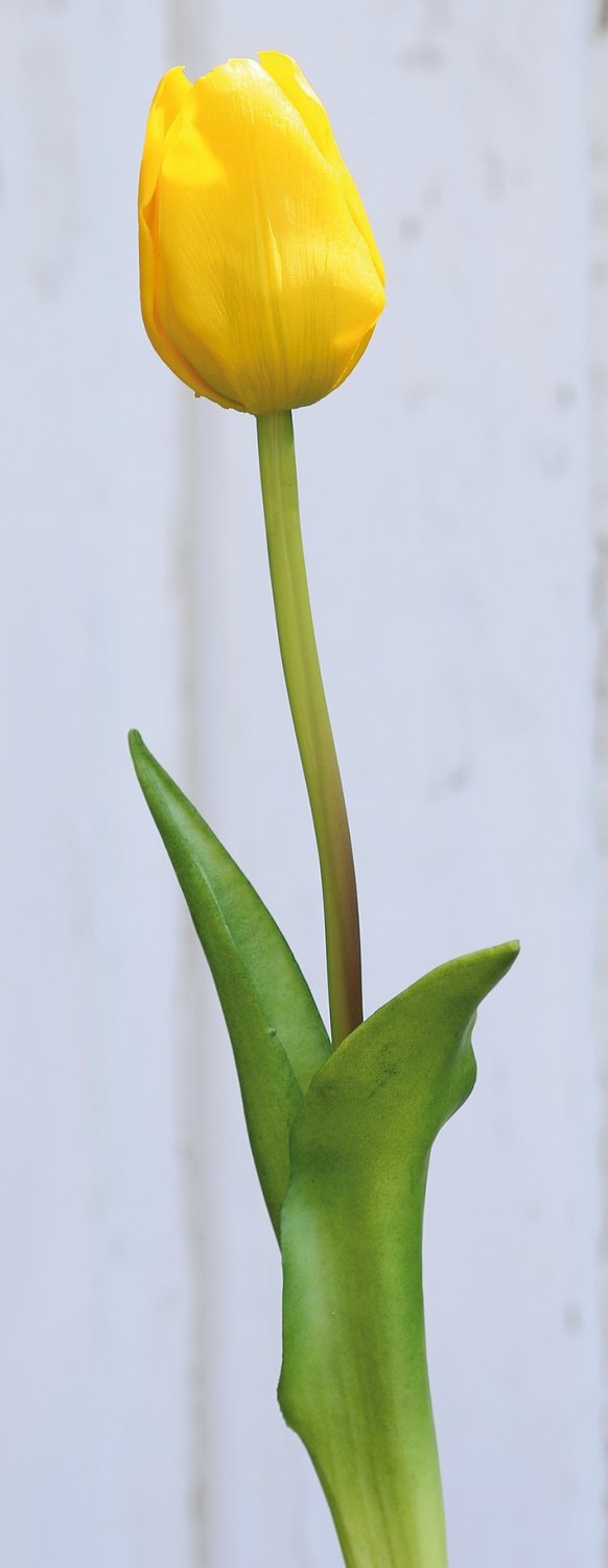 2949 330 a3 Искусственный цветок тюльпана, френч, 47 см, real touch, желтый H-andreas  - Вид №2