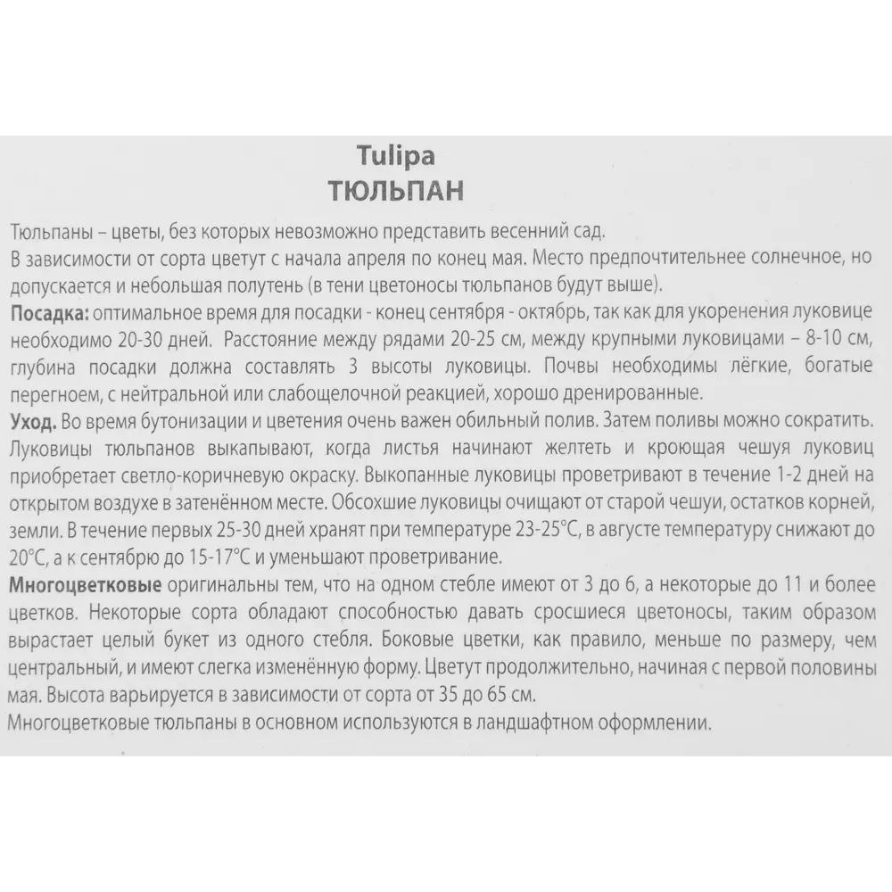 Тюльпан многоцветковый Хэппи Фэмили, 3 шт ПОИСК STLM-2188130 - Вид №2