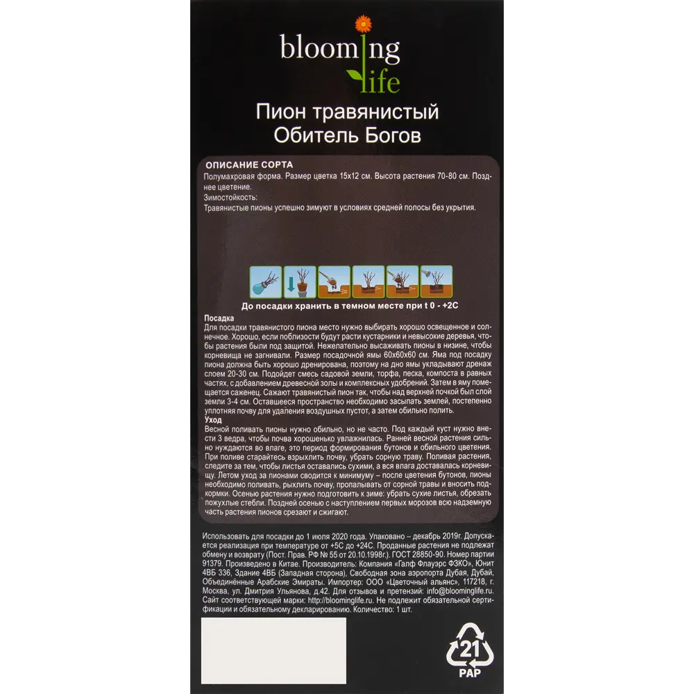 Пион травянистый Обитель богов в тубе 82539505 STLM-2206642 BLOOMING LIFE  - Вид №2
