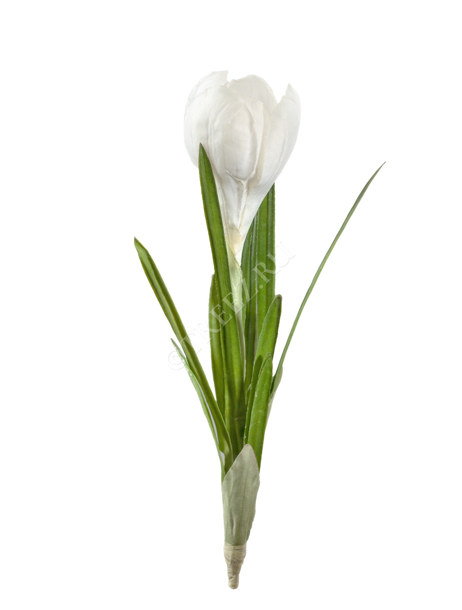 30.03080068WH Крокус белый 20 см Цветочная коллекция 