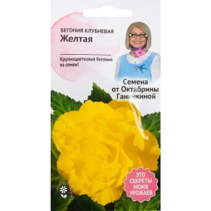 Бегония жёлтая 6 шт. 82481685 STLM-2147777