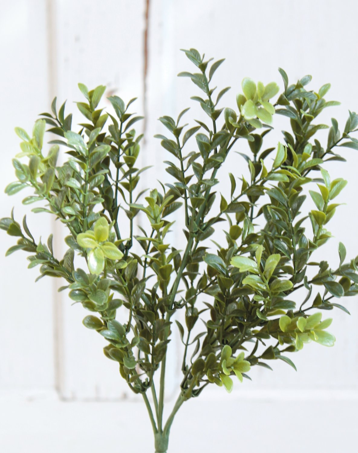 4922 883 a3 Поддельный куст самшита, 35 см, зеленый H-andreas  - Вид №2