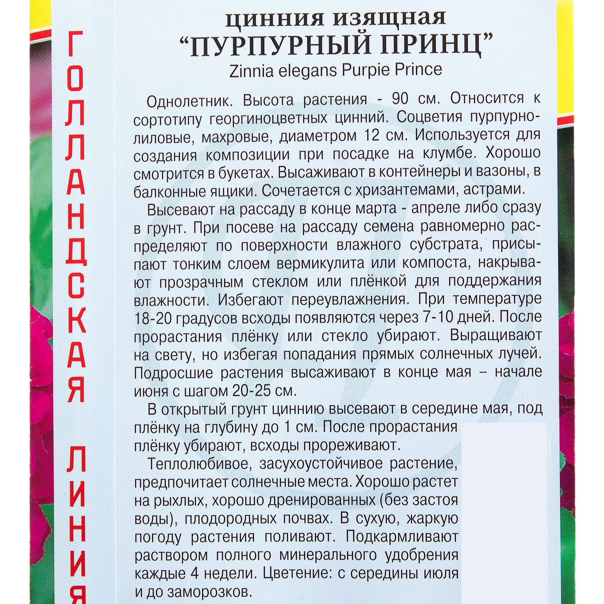 13895819 Цинния изящная «Пурпурный принц» Santreyd  - Вид №2