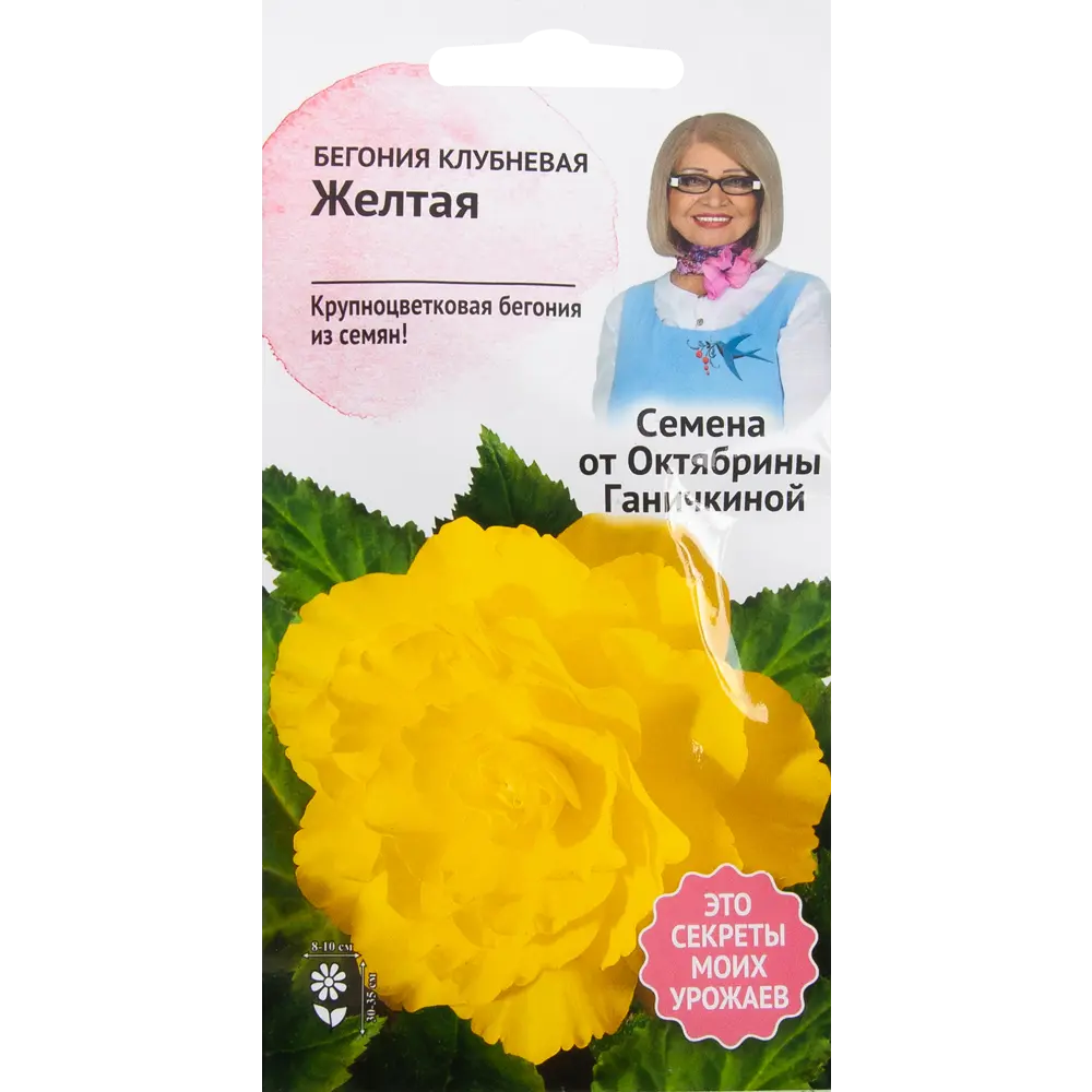 Бегония жёлтая 6 шт. 82481685 STLM-2147777 СЕМЕНА ОТ ОКТЯБРИНЫ ГАНИЧКИНОЙ 