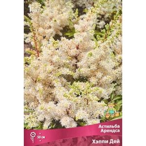 Корневище астильба Арендса Хэппи дей белый 82693434 STLM-2094544