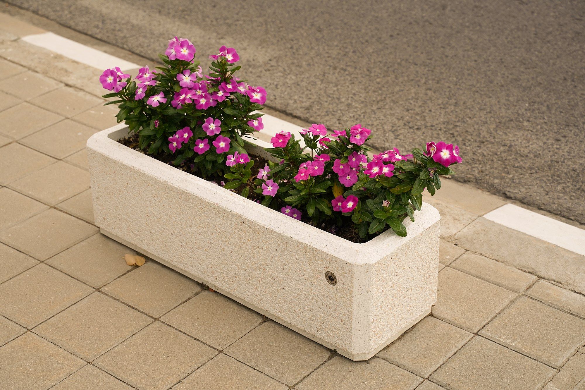 Бетонная плантатор ENCHO ENCHEV - ETE 80 ARCH-00097559 - Вид №4